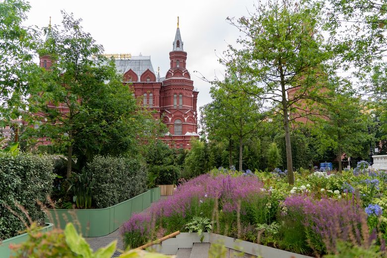 Как подобрать растения для сада непрерывного цветения: критерии совместимости